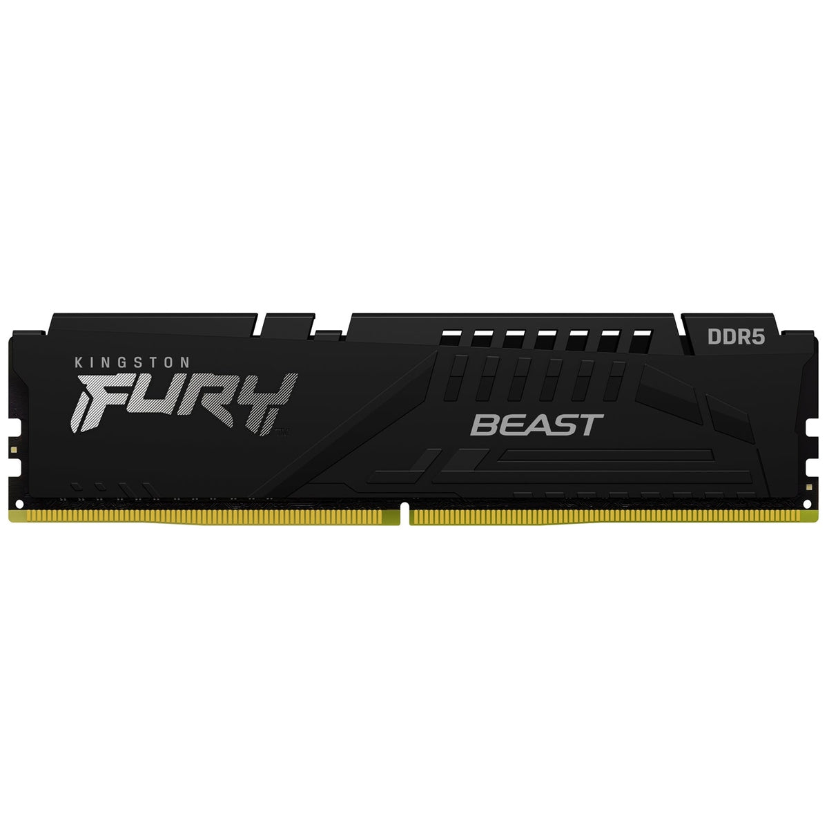 Kingston FURY Beast KF556C36BBE-16 16GB (1x 16GB) DIMM System Memory, 5600MHz, DDR5, CL36, Black, Intel XMP, AMD EXPO
