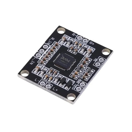 PAM8610 Module